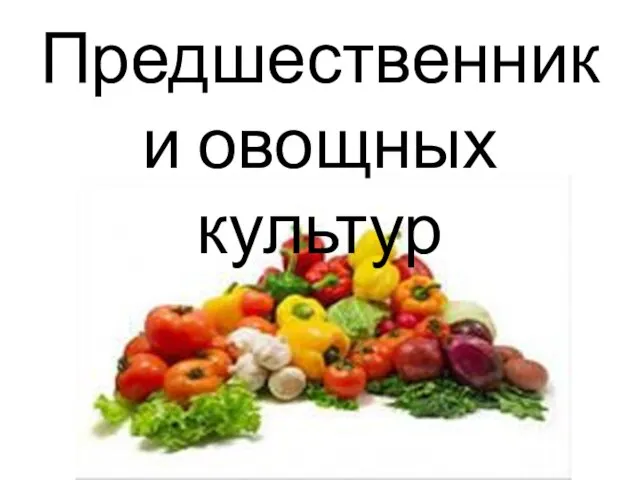 Предшественники овощных культур