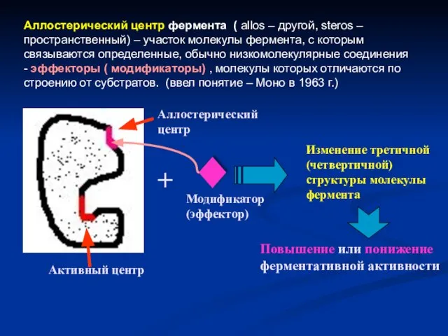 Аллостерический центр фермента ( allos – другой, steros – пространственный) –