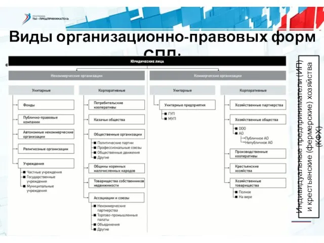 Виды организационно-правовых форм СПД: Данные Индивидуальные предприниматели (ИП) и крестьянские (фермерские) хозяйства (КФХ)