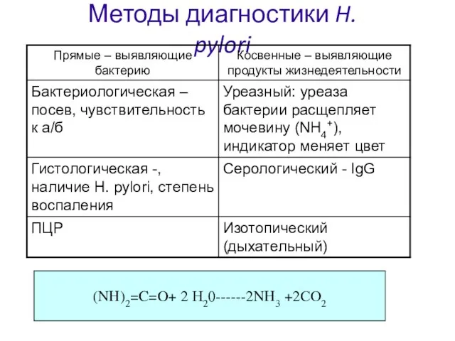 Методы диагностики H. pylori (NH)2=C=O+ 2 Н20------2NH3 +2СО2