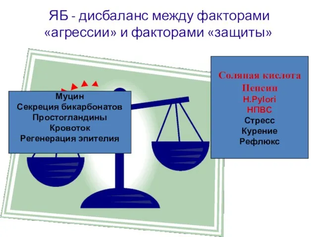 ЯБ - дисбаланс между факторами «агрессии» и факторами «защиты» Муцин Секреция