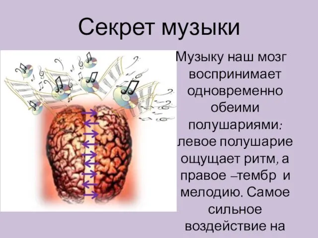 Секрет музыки Музыку наш мозг воспринимает одновременно обеими полушариями: левое полушарие