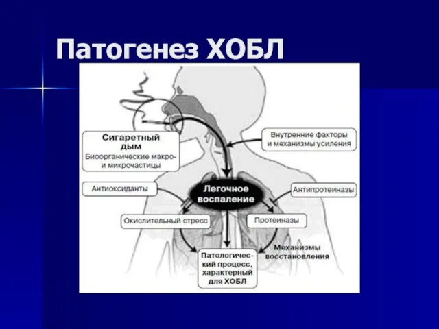 Патогенез ХОБЛ