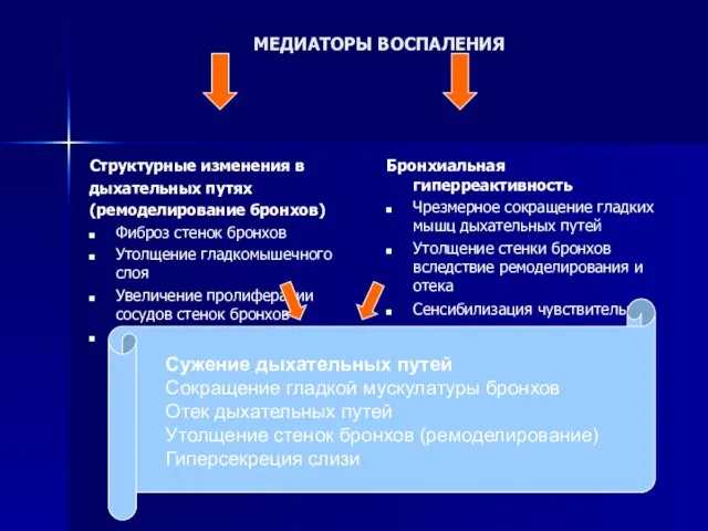 МЕДИАТОРЫ ВОСПАЛЕНИЯ Структурные изменения в дыхательных путях (ремоделирование бронхов) Фиброз стенок