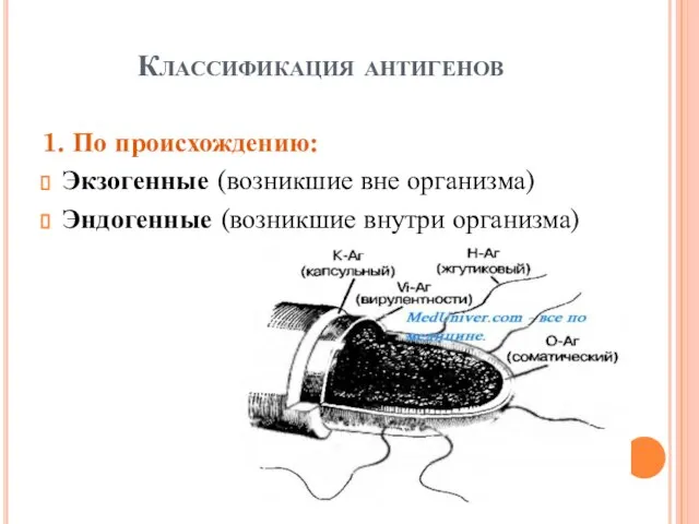 Классификация антигенов 1. По происхождению: Экзогенные (возникшие вне организма) Эндогенные (возникшие внутри организма)