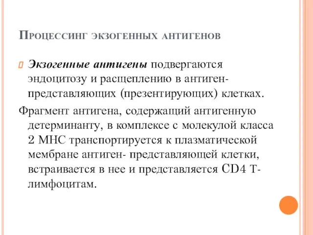 Процессинг экзогенных антигенов Экзогенные антигены подвергаются эндоцитозу и расщеплению в антиген-