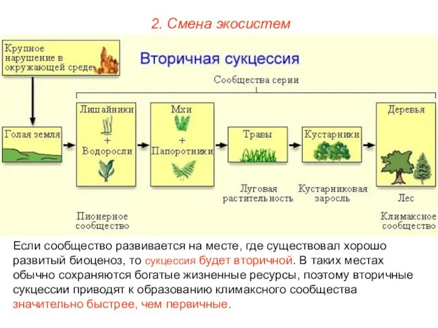 2. Смена экосистем Если сообщество развивается на месте, где существовал хорошо