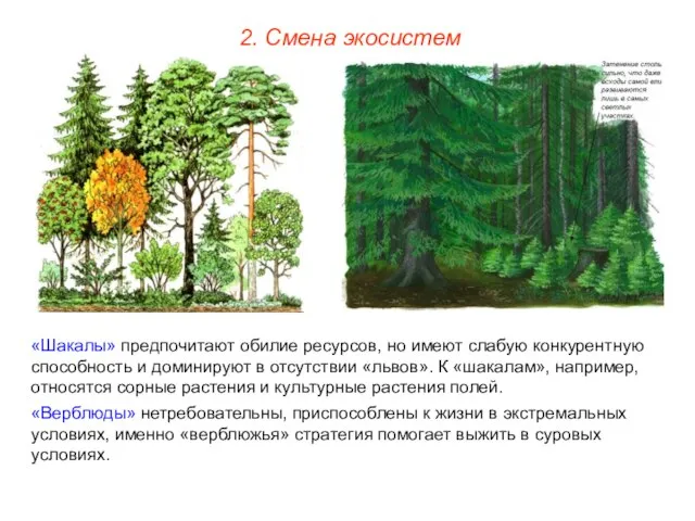 2. Смена экосистем «Шакалы» предпочитают обилие ресурсов, но имеют слабую конкурентную