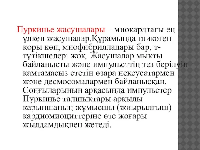 Пуркинье жасушалары – миокардтағы ең үлкен жасушалар.Құрамында гликоген қоры көп, миофибриллалары