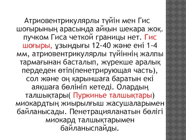 Атриовентрикулярлы түйін мен Гис шоғырының арасында айқын шекара жоқ. пучком Гиса