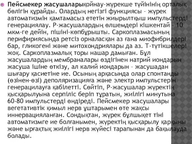 Пейсмекер жасушаларықойнау-жүрекше түйінінің орталық бөлігін құрайды. Олардың негізгі функциясы – жүрек