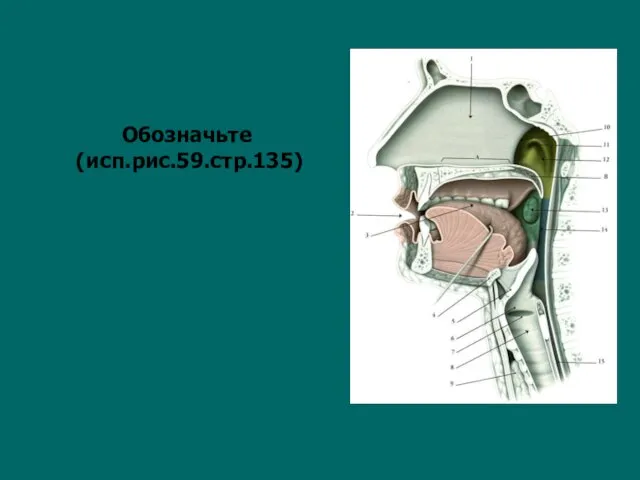 Обозначьте (исп.рис.59.стр.135)