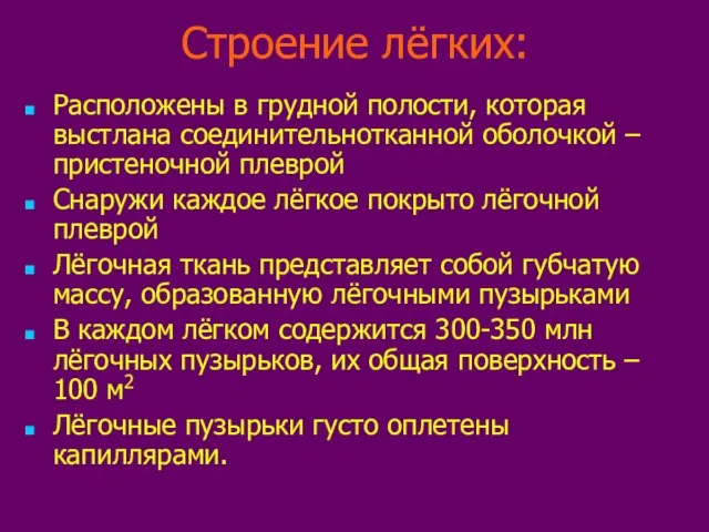 Строение лёгких: Расположены в грудной полости, которая выстлана соединительнотканной оболочкой –