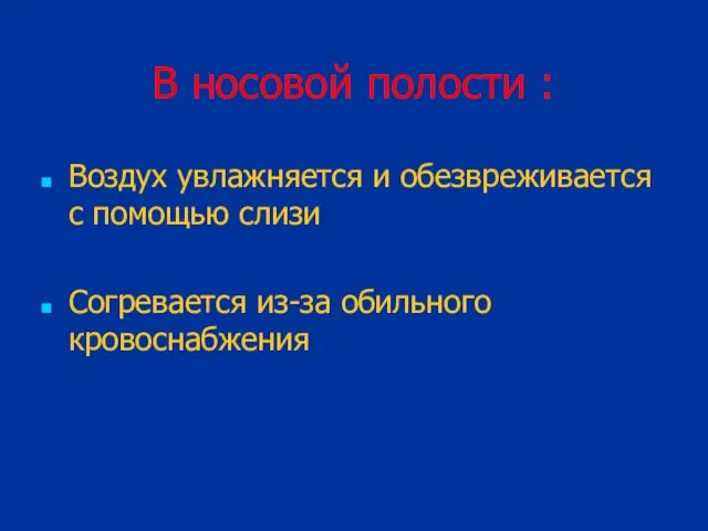 В носовой полости : Воздух увлажняется и обезвреживается с помощью слизи Согревается из-за обильного кровоснабжения