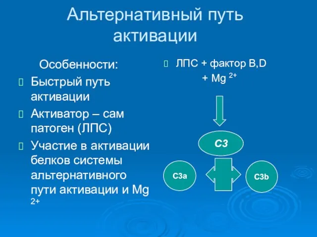 Альтернативный путь активации Особенности: Быстрый путь активации Активатор – сам патоген