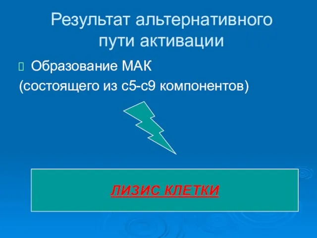 Результат альтернативного пути активации Образование МАК (состоящего из с5-с9 компонентов) ЛИЗИС КЛЕТКИ