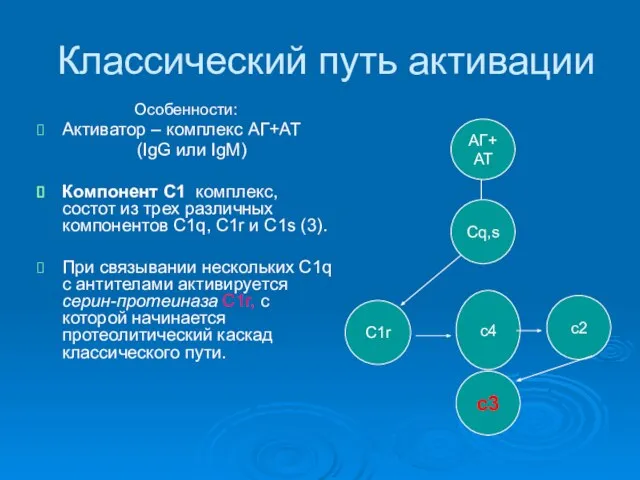 Классический путь активации Особенности: Активатор – комплекс АГ+АТ (IgG или IgM)