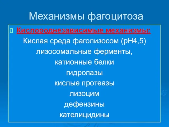 Механизмы фагоцитоза Кислороднезависимые механизмы: Кислая среда фаголизосом (рН4,5) лизосомальные ферменты, катионные