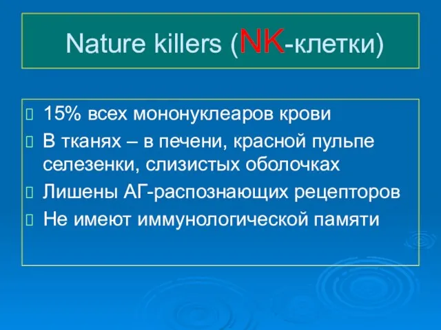 Nature killеrs (NK-клетки) 15% всех мононуклеаров крови В тканях – в