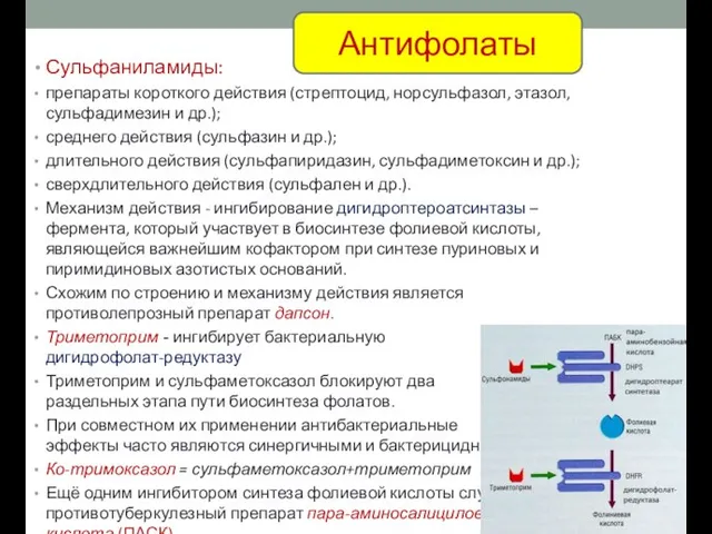 Сульфаниламиды: препараты короткого действия (стрептоцид, норсульфазол, этазол, сульфадимезин и др.); среднего