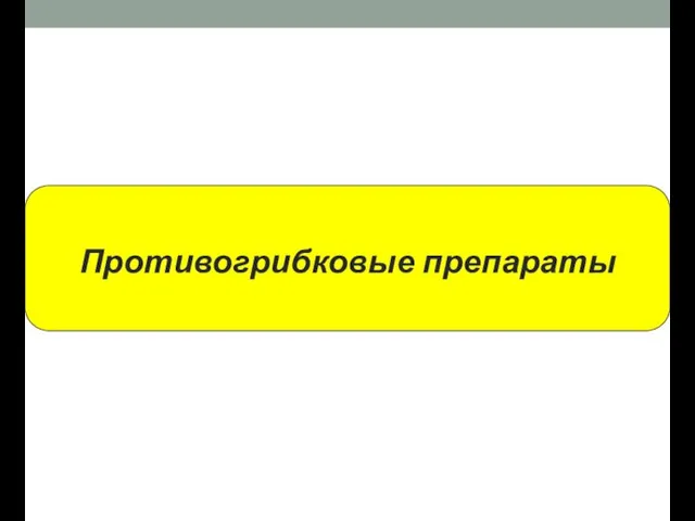 Противогрибковые препараты