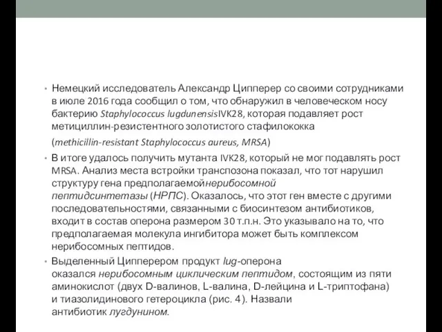 Немецкий исследователь Александр Ципперер со своими сотрудниками в июле 2016 года