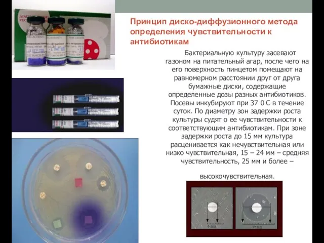 Принцип диско-диффузионного метода определения чувствительности к антибиотикам Бактериальную культуру засевают газоном