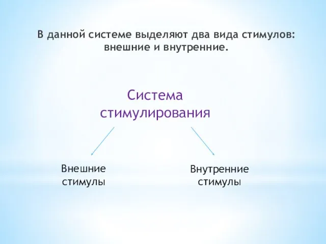 В данной системе выделяют два вида стимулов: внешние и внутренние. Система стимулирования Внешние стимулы Внутренние стимулы