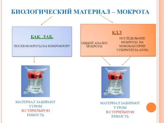 БИОЛОГИЧЕСКИЙ МАТЕРИАЛ – МОКРОТА КДЛ ОБЩИЙ АНАЛИЗ МОКРОТЫ ИССЛЕДОВАНИЕ МОКРОТЫ НА