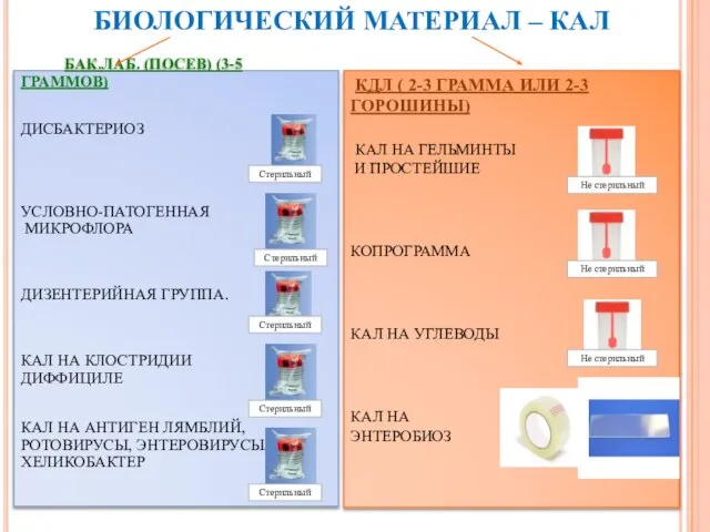 БИОЛОГИЧЕСКИЙ МАТЕРИАЛ – КАЛ БАК.ЛАБ. (ПОСЕВ) (3-5 ГРАММОВ) ДИСБАКТЕРИОЗ УСЛОВНО-ПАТОГЕННАЯ МИКРОФЛОРА