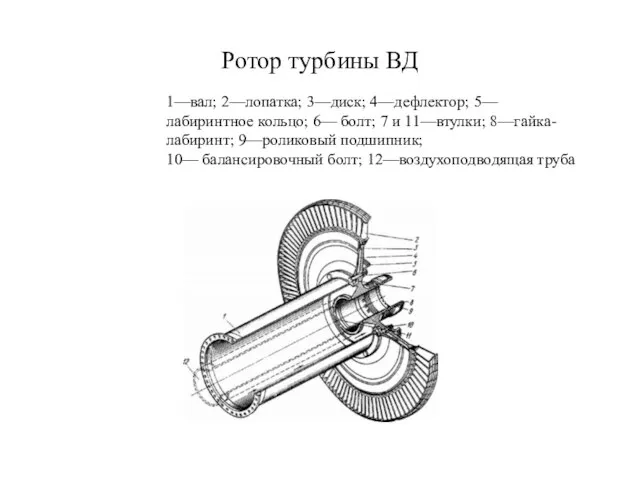 Ротор турбины ВД 1—вал; 2—лопатка; 3—диск; 4—дефлектор; 5—лабиринтное кольцо; 6— болт;