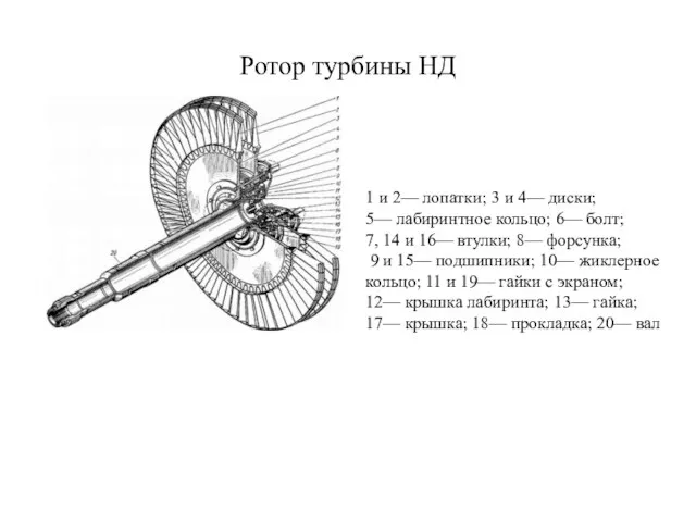 Ротор турбины НД 1 и 2— лопатки; 3 и 4— диски;