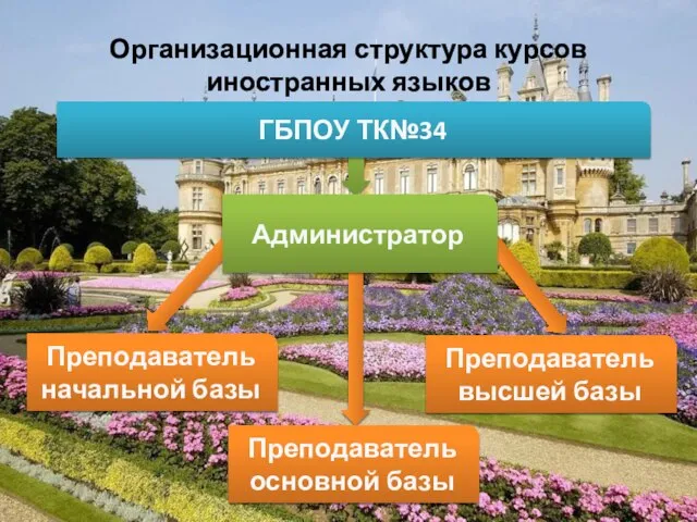 Организационная структура курсов иностранных языков ГБПОУ ТК№34 Администратор Преподаватель начальной базы