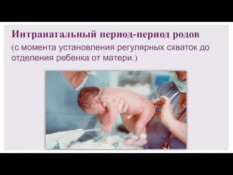 Интранатальный период-период родов (с момента установления регулярных схваток до отделения ребенка от матери.)