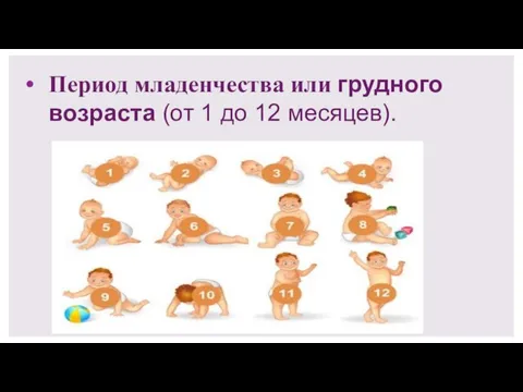 Период младенчества или грудного возраста (от 1 до 12 месяцев).