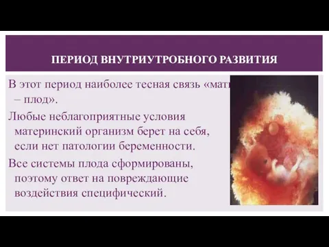 ПЕРИОД ВНУТРИУТРОБНОГО РАЗВИТИЯ В этот период наиболее тесная связь «мать –