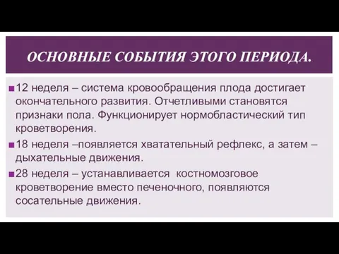 12 неделя – система кровообращения плода достигает окончательного развития. Отчетливыми становятся