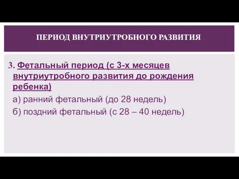 ПЕРИОД ВНУТРИУТРОБНОГО РАЗВИТИЯ 3. Фетальный период (с 3-х месяцев внутриутробного развития