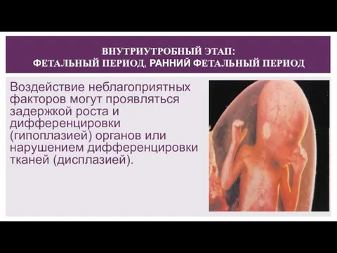 ВНУТРИУТРОБНЫЙ ЭТАП: ФЕТАЛЬНЫЙ ПЕРИОД, РАННИЙ ФЕТАЛЬНЫЙ ПЕРИОД Воздействие неблагоприятных факторов могут