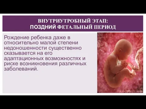 ВНУТРИУТРОБНЫЙ ЭТАП: ПОЗДНИЙ ФЕТАЛЬНЫЙ ПЕРИОД Рождение ребенка даже в относительно малой