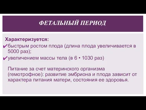 ФЕТАЛЬНЫЙ ПЕРИОД Характеризуется: быстрым ростом плода (длина плода увеличивается в 5000