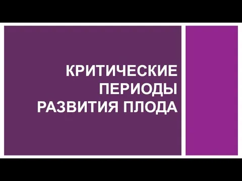 КРИТИЧЕСКИЕ ПЕРИОДЫ РАЗВИТИЯ ПЛОДА