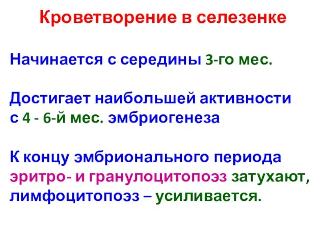 Кроветворение в селезенке Начинается с середины 3-го мес. Достигает наибольшей активности