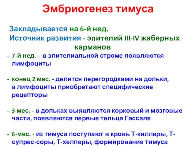 Эмбриогенез тимуса Закладывается на 6-й нед. Источник развития - эпителий III-IV