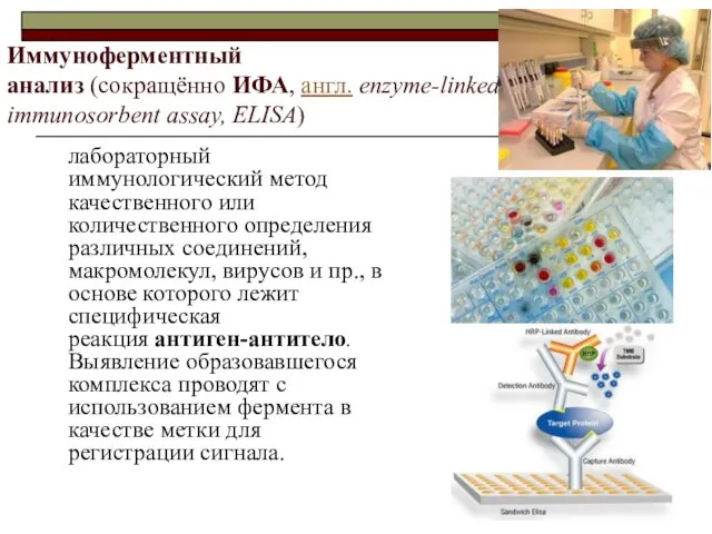 Иммуноферментный анализ (сокращённо ИФА, англ. enzyme-linked immunosorbent assay, ELISA) лабораторный иммунологический