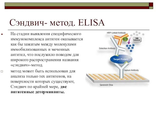 Сэндвич- метод. ELISA На стадии выявления специфического иммунокомплекса антиген оказывается как