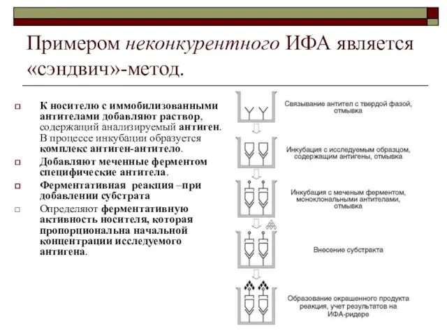 Примером неконкурентного ИФА является «сэндвич»-метод. К носителю с иммобилизованными антителами добавляют