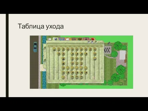 Таблица ухода