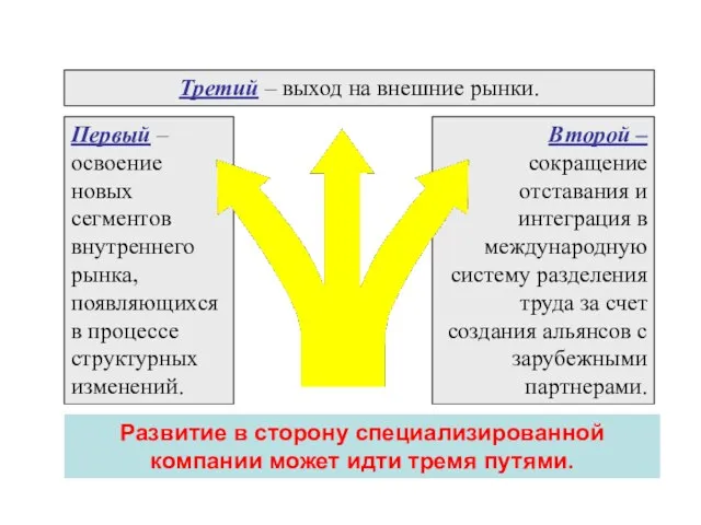 Развитие в сторону специализированной компании может идти тремя путями. Первый –