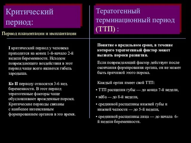 Критический период: Тератогенный терминационный период (ТТП) : Период плацентации и имплантации